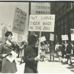 This is one of several photos taken at a 1969 protest organized outside the offices of Maclean's magazine after it published a review of Lionel Tiger's book Men in Groups in which he theorizes about differences in male and female roles and male superiority.